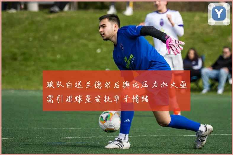 狼队白送兰德尔后舆论压力加大亟需引进球星安抚华子情绪